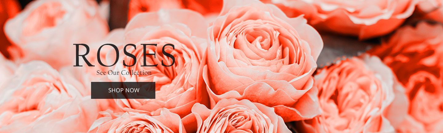  banner for Default Store View